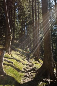 Oberallgäu: Himmelecktrail (Oberstaufen)