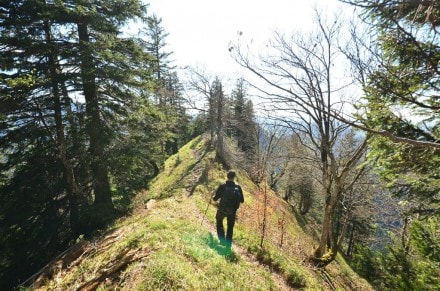 Oberallgu: Klamm Gratweg (Oberstaufen)