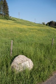 Oberallgäu: Braut- und Bahrweg (Dietmannsried)