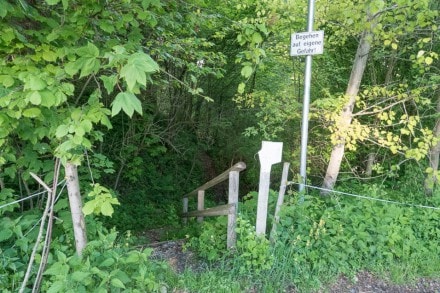 Oberallgäu: Färbertobel (Dietmannsried)