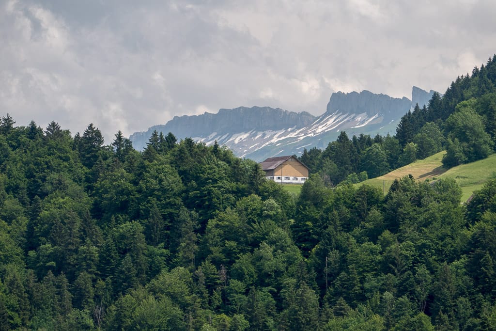 Lingenau - Lehrpfad Quelltuff - mit 57m Hängebrücke (Lingenau - Voralberg / 2015)