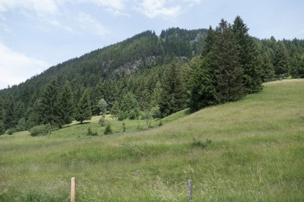 Oberallgäu: Das Burgberger Hörnle bei Burgberg (Sonthofen)