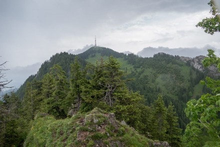 Oberallgäu: Burgberger Hörnle - Überschreitung (Sonthofen)