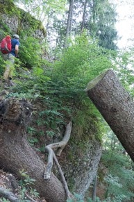 Oberallgäu: Gedenkkreuz Immenstädter Horn (Gerenstein) -  Hörnle (Immenstadt)