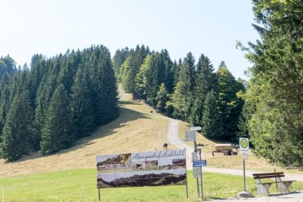 Oberallgäu: Rundtour zum Imberg, Fluh, Steinernes Tor, Kojenstein und Kojenloch (Oberstaufen)