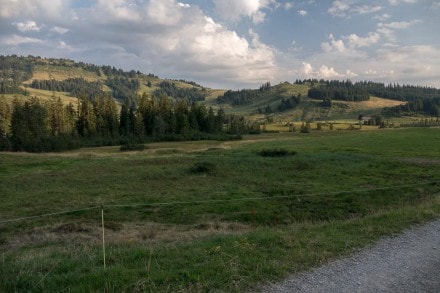 Oberallgäu: Kojenmoos (Oberstaufen)