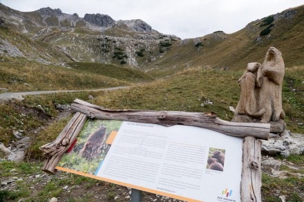 Oberallgäu: Zeigersattel (Oberstdorf)