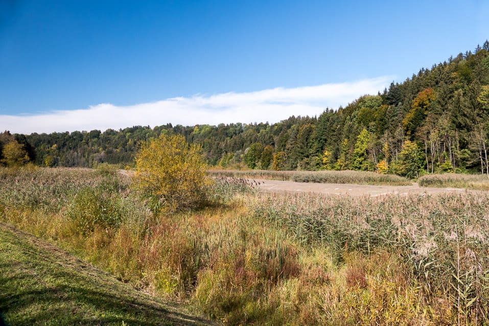 Der Burgstall Kapf und Burg(Stall) Bibers-Wang bei Krugzell an der Iller (Altusried - Oberallgäu / 2015)