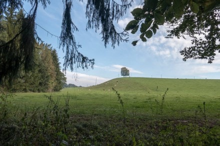 Oberallgu:  (Altusried)