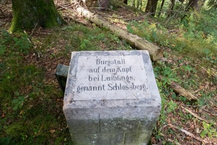 Oberallgäu: Burgstall Kapf (Altusried)