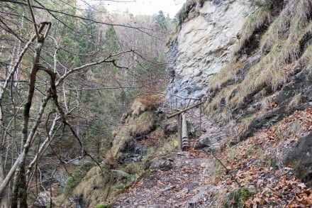 Oberallgäu: Reichenbachklamm (Pfronten)