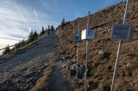 Oberallgäu: Weg zum Breitenberg (Pfronten)