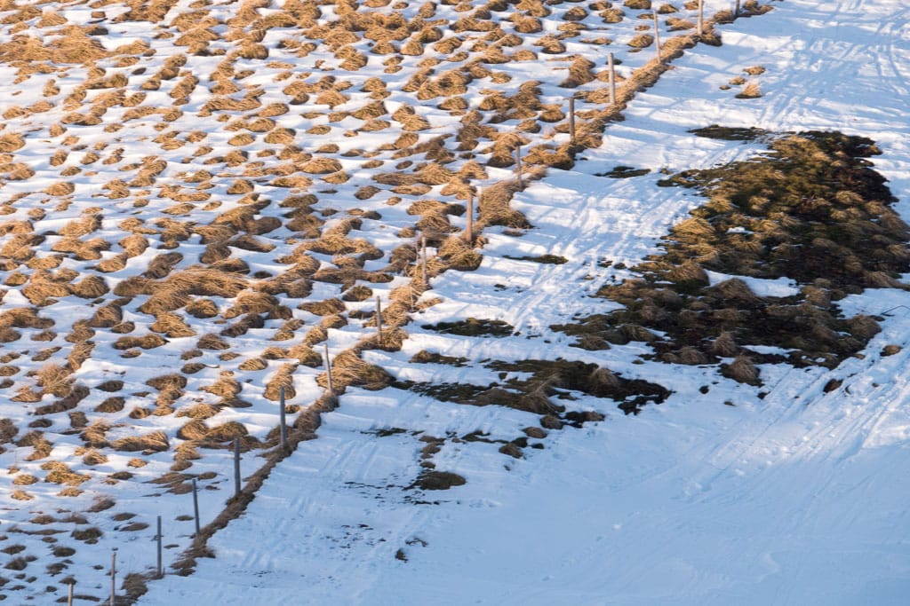 Das Riedberger Horn von Grasgehren aus (Sonthofen - Oberallgäu / 2015)