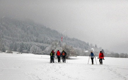 Tirol: Tirolerstadl am Breitenberg bei Pfronten (Pfronten)