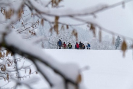 Tirol:  (Pfronten)