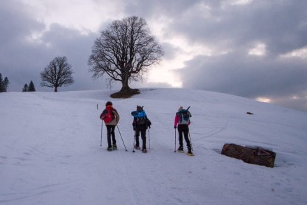 Oberallgu: Tour (Oberstaufen)