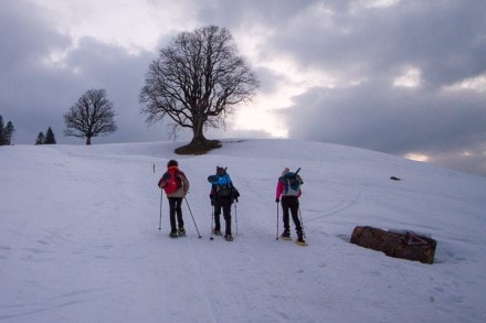 Oberallgäu: Tour (Oberstaufen)