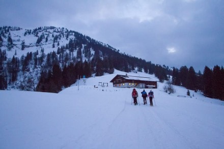 Oberallgäu: Oberestiegalpe (Oberstaufen)