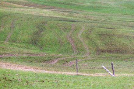 Oberallgäu: Pfarr Alpe (Immenstadt)