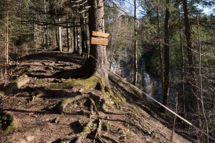 Oberallgäu: Tour (Immenstadt)