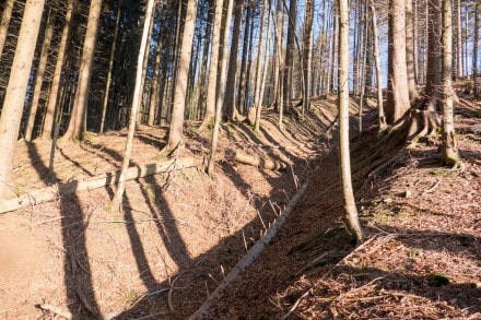 Oberallgäu: Osterdorfer Tobel (Immenstadt)