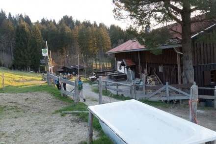 Oberallgäu: Alpe Kuhschwand (1.070m) (Immenstadt)