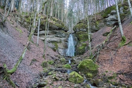 Oberallgäu: Großer Weissbachtobel Wasserfall (921m) (Immenstadt)