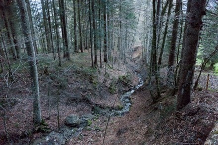 Oberallgäu: Weissbachtobel (Immenstadt)