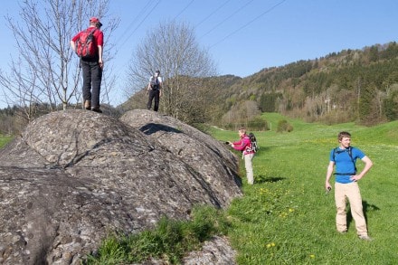 Oberallgäu: 18.000 Jahre alter Gletscherschliff (Immenstadt)