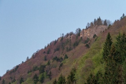 Oberallgäu: Falkenstein (Immenstadt)