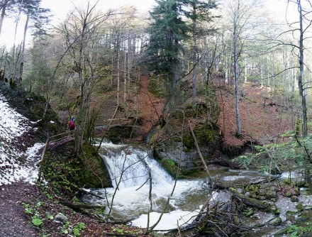 Oberallgu: Falltobel (Immenstadt)