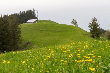 Kreuzthal: Steineberg (Kempten)