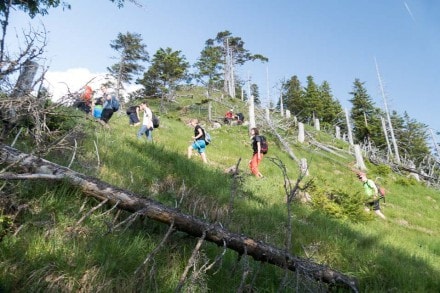 Oberallgäu: Gratweg zur Ostlerhütte (Pfronten)