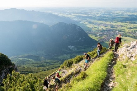 Oberallgu: Abstieg Ostlerhtte zum Tiroler Stadl (Pfronten)