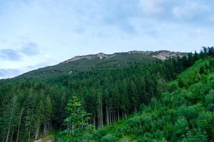 Oberallgäu: Tour (Pfronten)