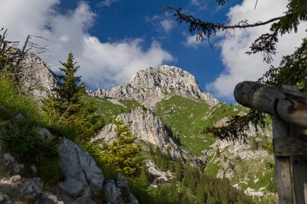 Tannheimer Tal: Köllenspitze (Kellenspitze) (Nesselwängle)