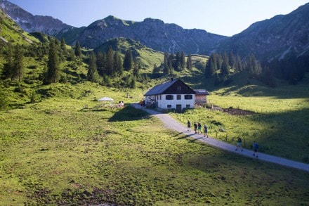 Tannheimer Tal: Älpele Alpe (1.525m) (Grän)