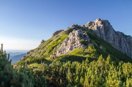 Tannheimer Tal: Rohnenspitze (Grän)