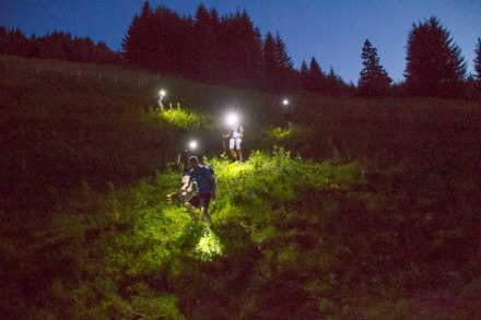 Tannheimer Tal: Wiesler Wiesn (Grän)