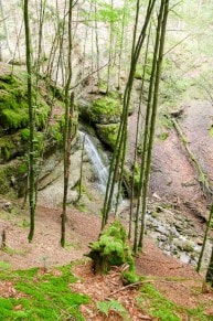 Oberallgäu: Großer Weissbach Wasserfall (923m) (Immenstadt)