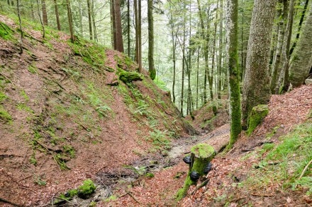 Oberallgäu: Weissbachtobel (Immenstadt)