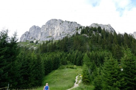 Tannheimer Tal: Tour (Nesselwngle)