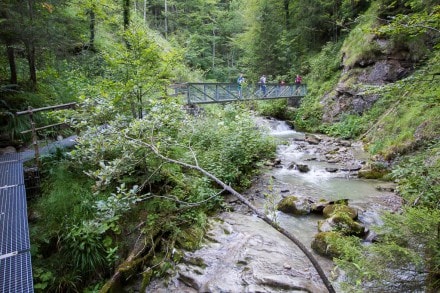 Oberallgu:  (Niedersonthofen)