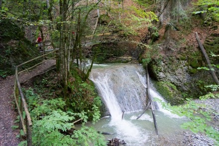 Oberallgäu: Falltobelweg (Niedersonthofen)