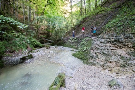 Oberallgäu: Niedersonthofener See (Niedersonthofen)