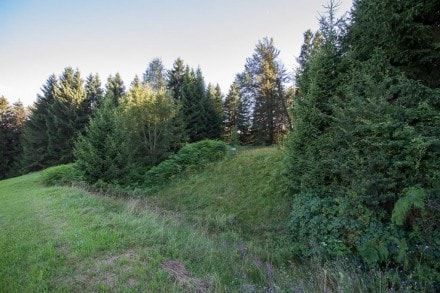 Oberallgäu: Burgstall Hof an der Holzach (Niedersonthofen)