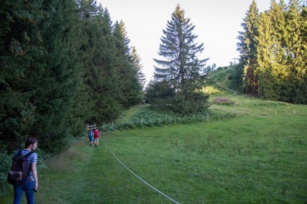 Oberallgäu: Stoffelberg (Niedersonthofen)