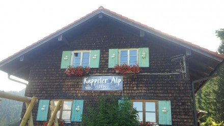 Oberallgäu: Kappeler Alp (1.396m) (Pfronten)