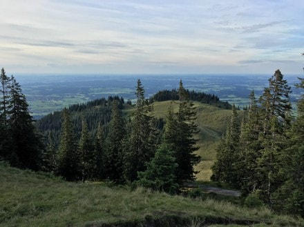 Oberallgäu:  (Pfronten)