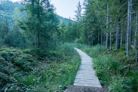 Oberallgäu: Hochmoor Kematsriedmoos (Oberjoch)